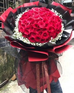 Bó Hoa Chúc Mừng - HNA.BHCM13