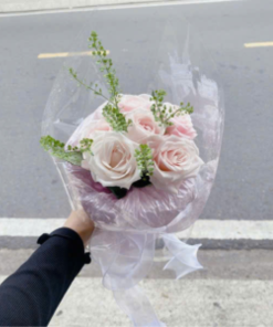 Hoa Tốt Nghiệp - HNA.HTN10