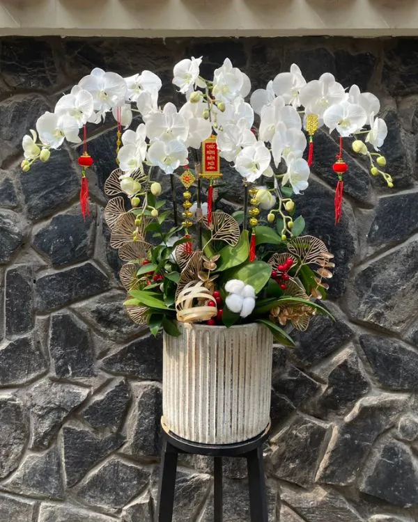 Hoa Lan Hồ Điệp - HNA.HLHD37