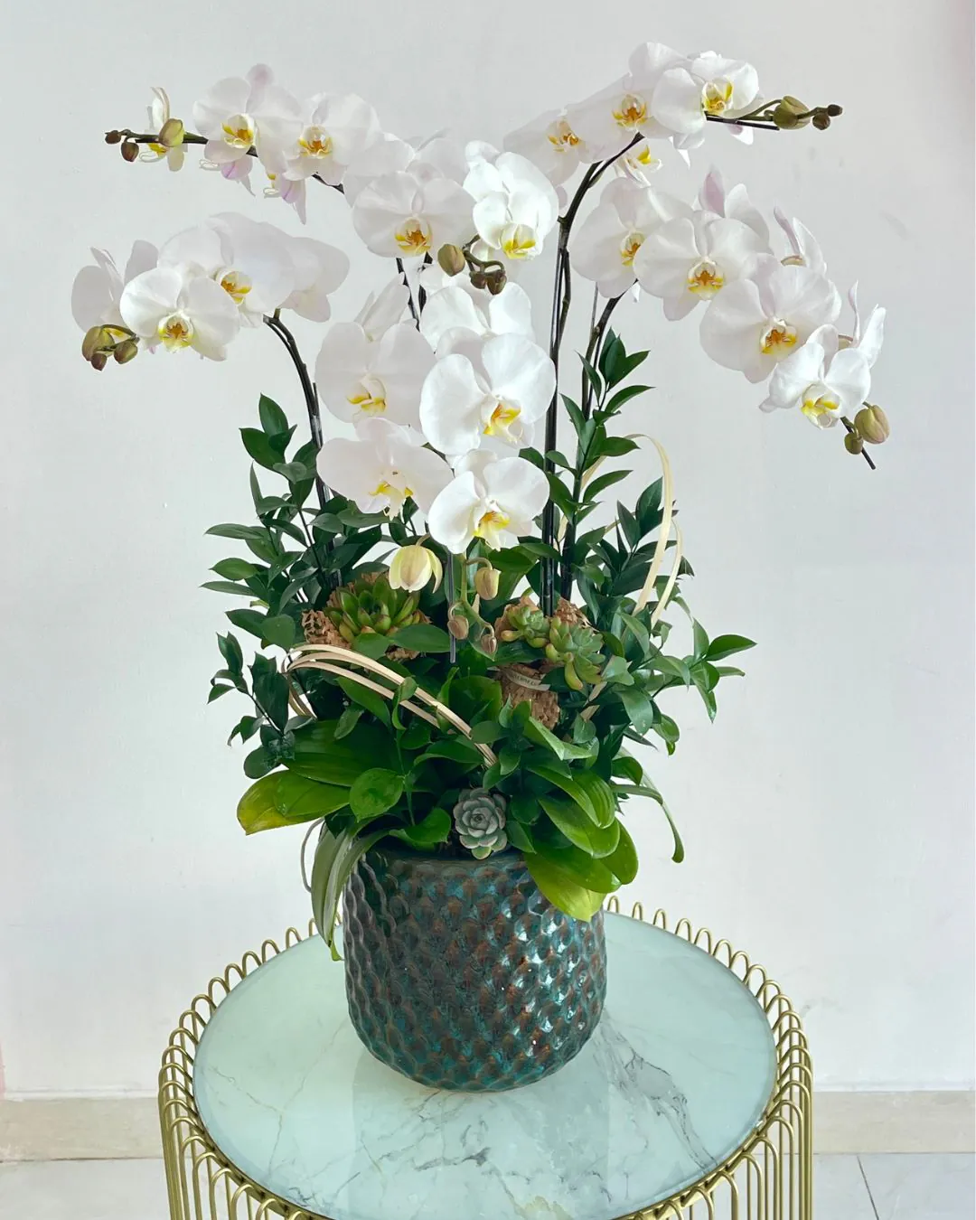 Hoa Lan Hồ Điệp - HNA.HLHD45